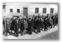 náhled fotky: skenovat0003_2.jpg