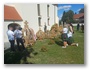 náhled fotky: 20260829_141411.jpg