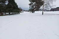 První běžkařská trať v Osečné na obzoru