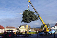Stavění vánočního stromu 2021