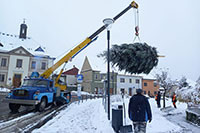Stavění vánočního stromu 2023