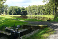 Staw Jenišovský rybník